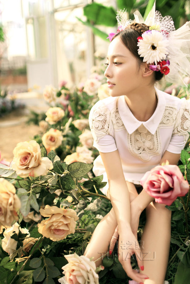 十一月十三日：如何治疗Ed