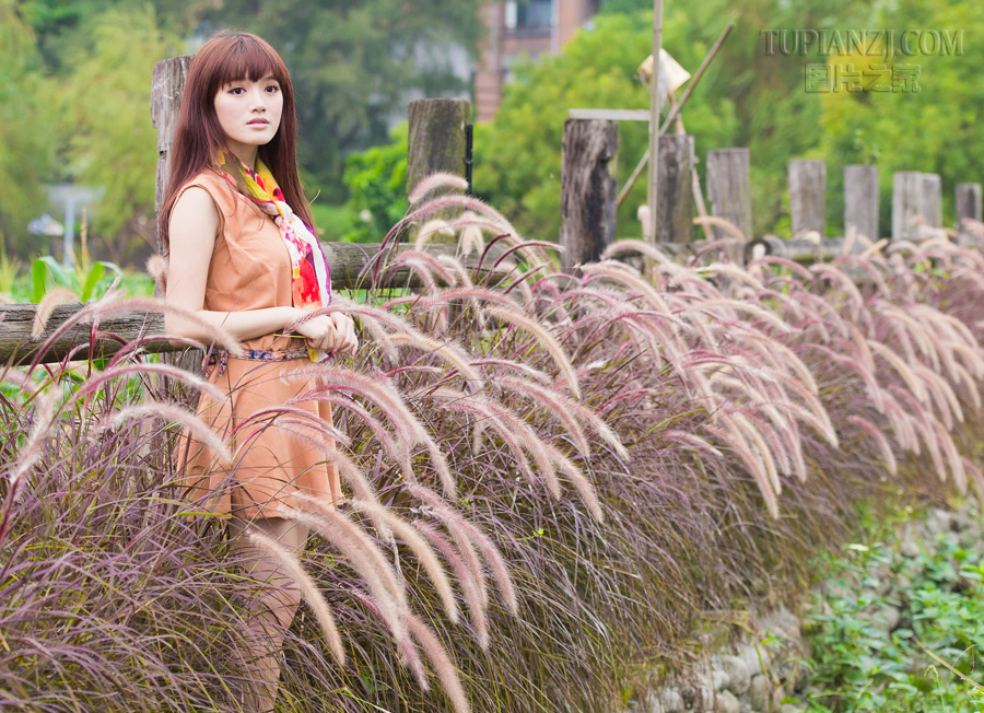 乔任梁追悼会现场曝光 四周摆满粉色鲜花