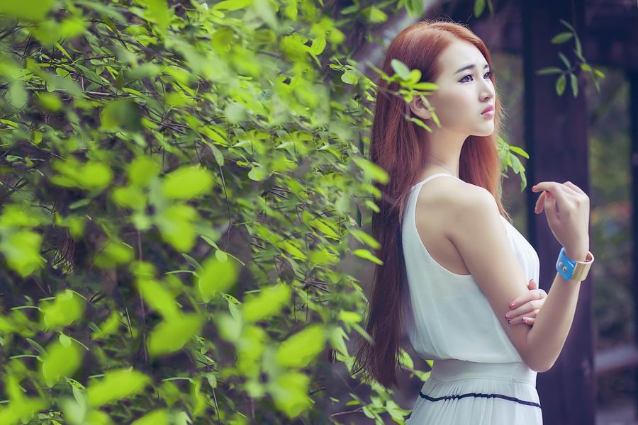 遗精可用药食补