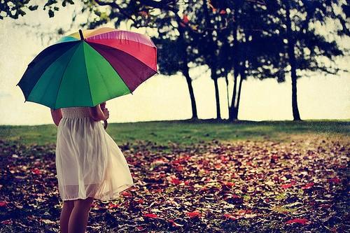 我们会在风里哭泣，会在雨里奔跑，一路想追念回那份已经逝去的美丽