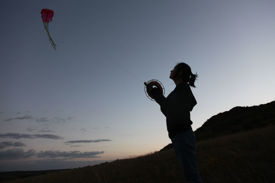 一个人放风筝的图片