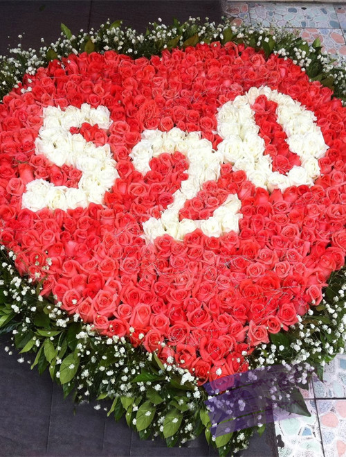 520玫瑰花图片：情人节玫瑰花图片