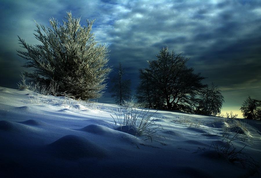 冬季黑夜荒郊图：冬季寒冷黑夜的照片