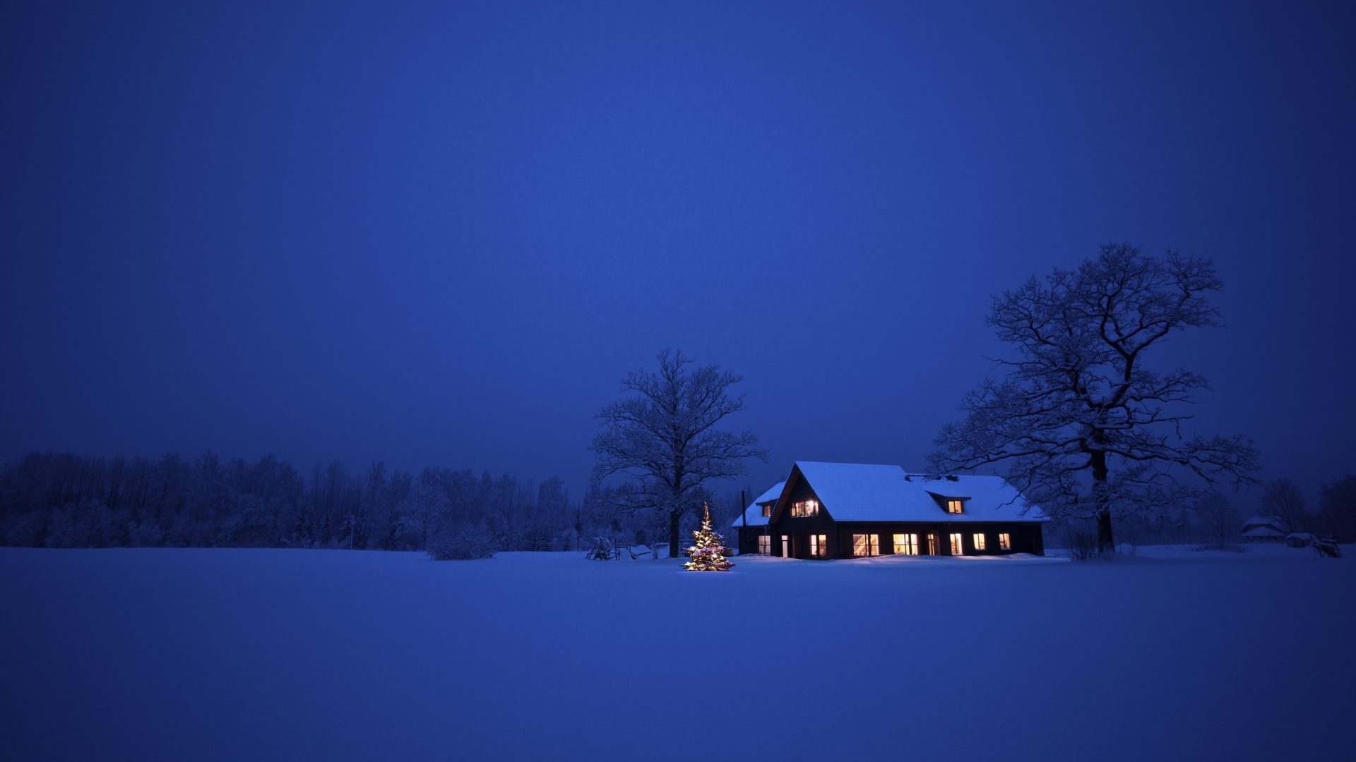 冬天夜晚飘雪梦幻图片：冬天下雪夜晚图片