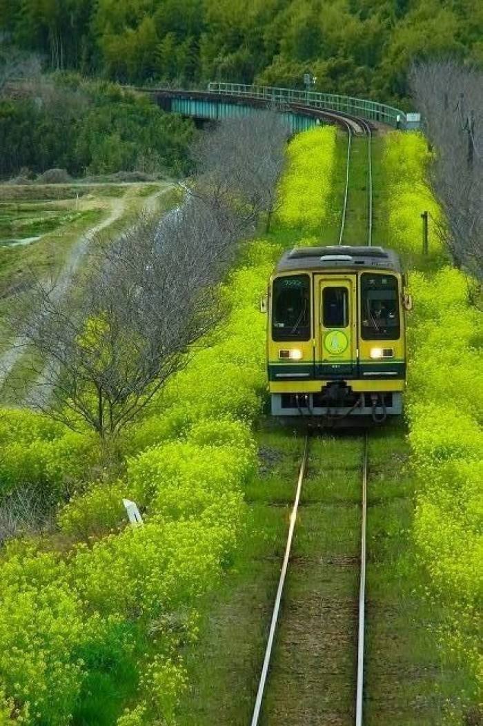 人生就像一列火车短句