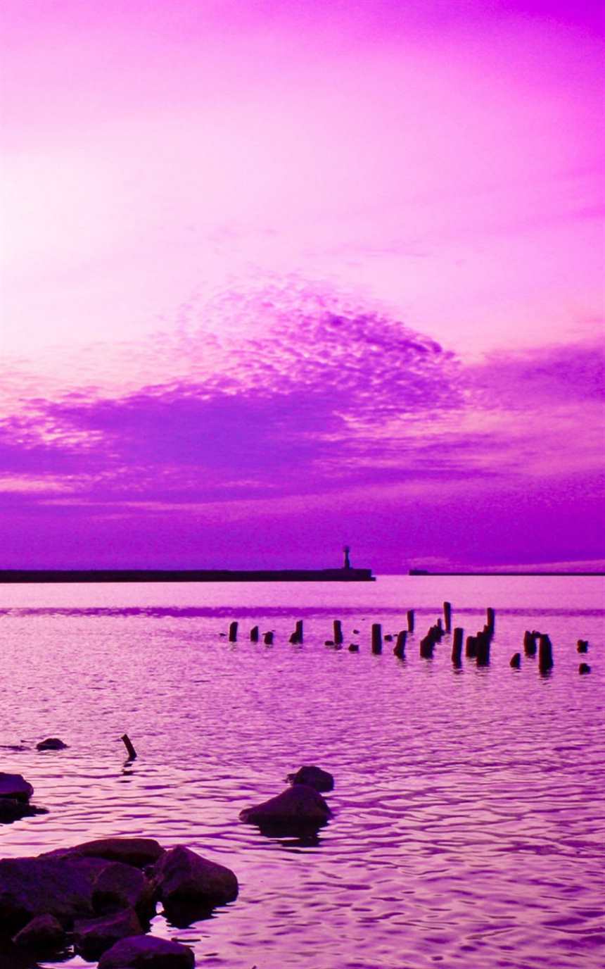 紫色风景的图片唯美