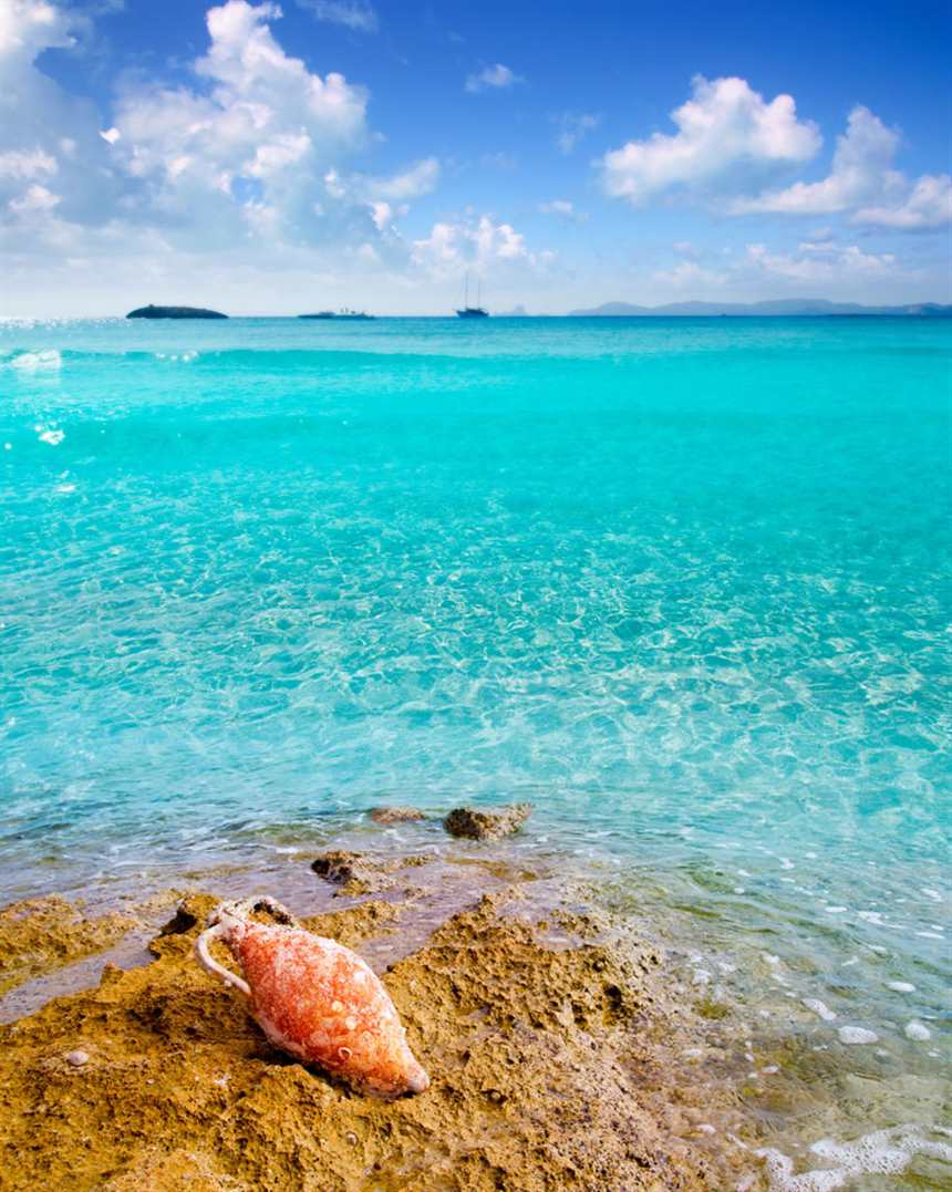 美丽海滩风景