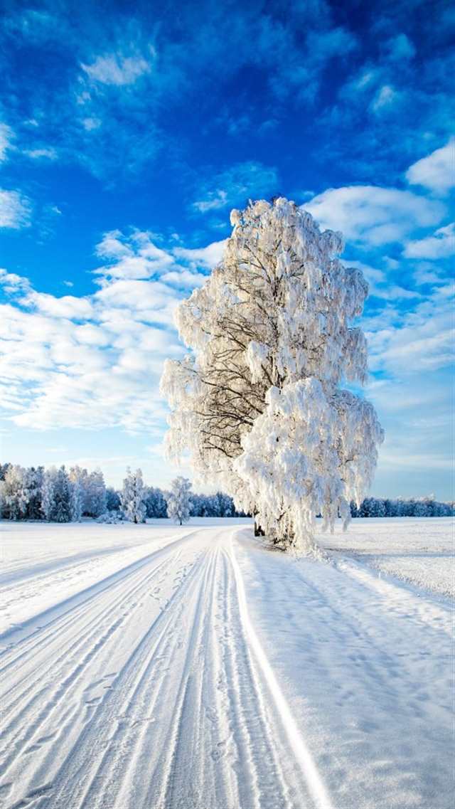 唯美雪景 壁纸 锁屏 清新 白色