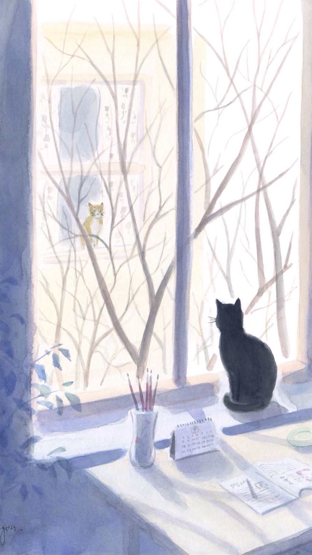 隔窗相望#小清新#猫咪