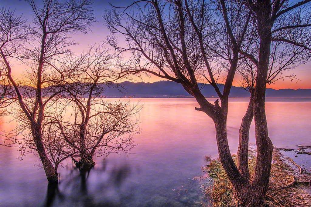 梦想不是浮躁,而是沉淀和积累;当才华还撑不起野心时,就应静下心来#树木#湖水#夕阳
