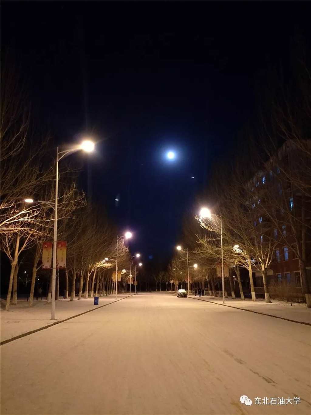 寂静的狂欢#公路#下雪