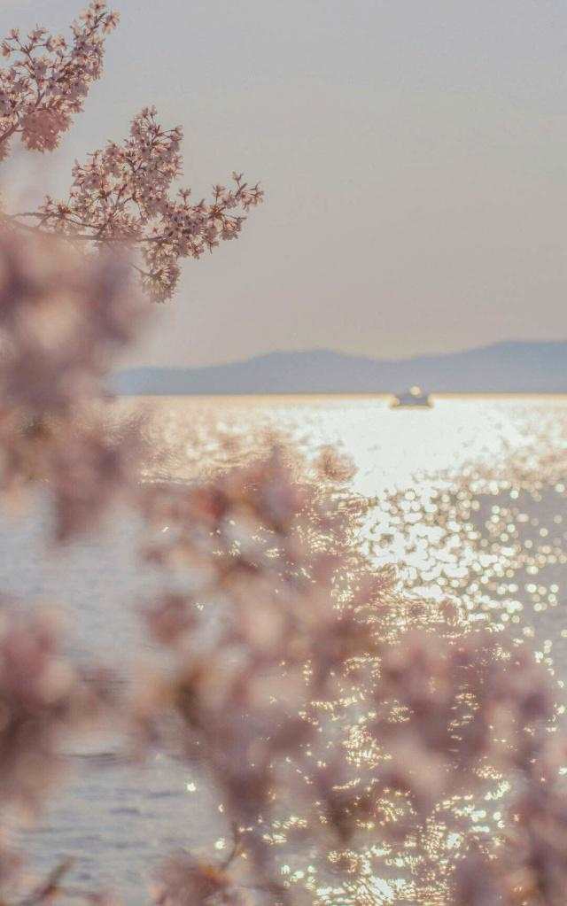 波光粼粼的湖水图片,好温柔啊!#湖水#黄昏