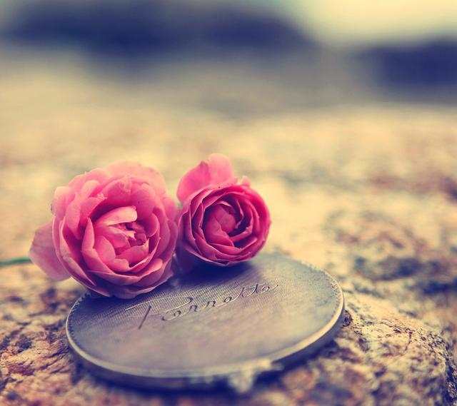 循环一首歌,思念一个人#花朵#玫瑰