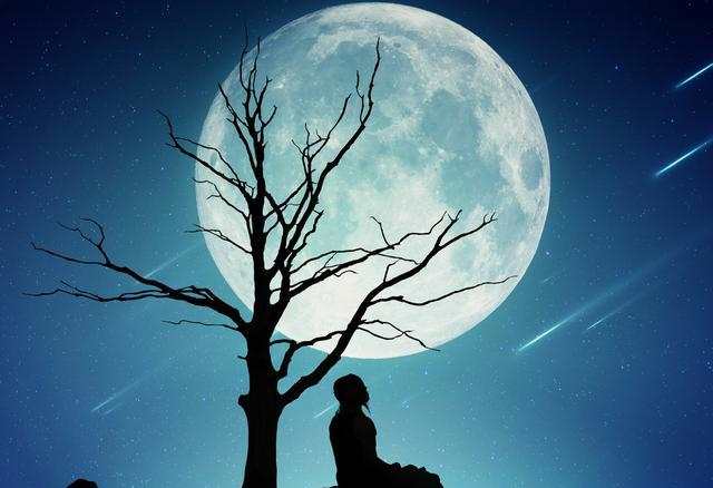 你那么孤独,却偏偏说一个人真好!#夜晚#唯美#月亮
