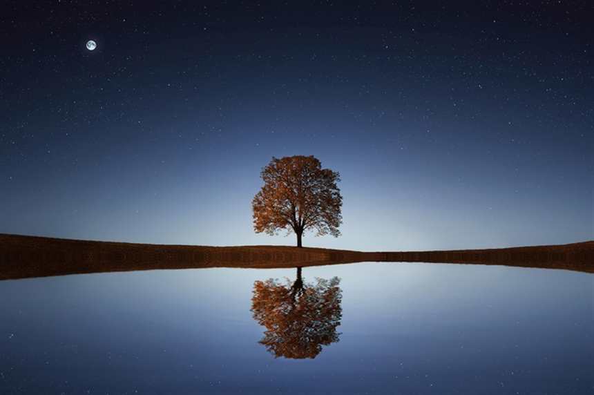 一个人的独处时光#树木#唯美#湖水