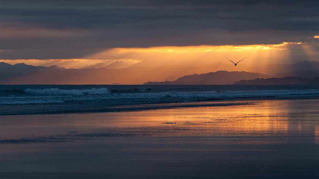 海鸥与我想要说的寓言故事#海边#黄昏#风景