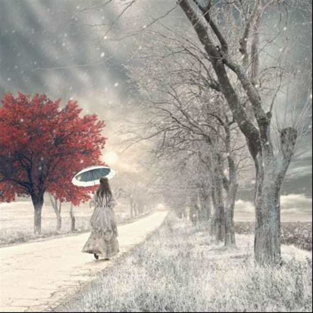 最豁达的心境,最悠闲的诗风#古风#下雪#唯美