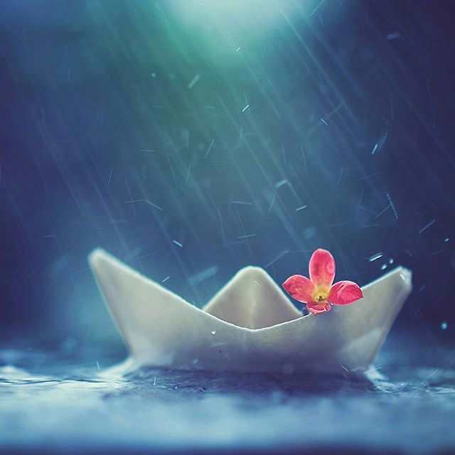 小纸船图片,不怕风吹雨打.#唯美#小清新