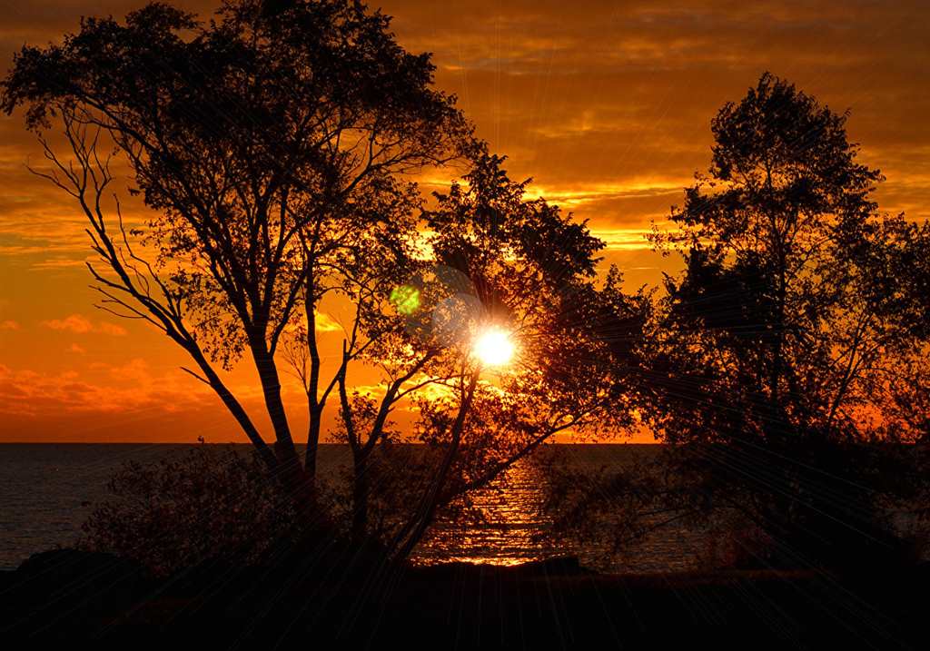 海,日出和日落,树,侧影,太阳,大自然#夕阳#剪影
