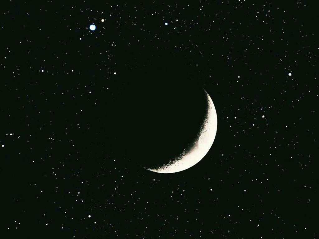  我想养一只月亮 骑着它飞到天上 然后为你拐带一些星星 挂在你房间