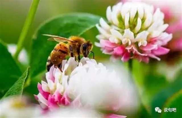 年轻，活着，不懒，有一个爱的人，就应该努力去过的很好