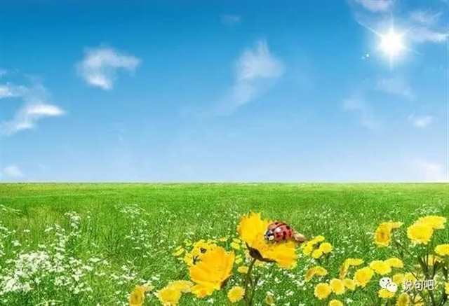 年轻，活着，不懒，有一个爱的人，就应该努力去过的很好