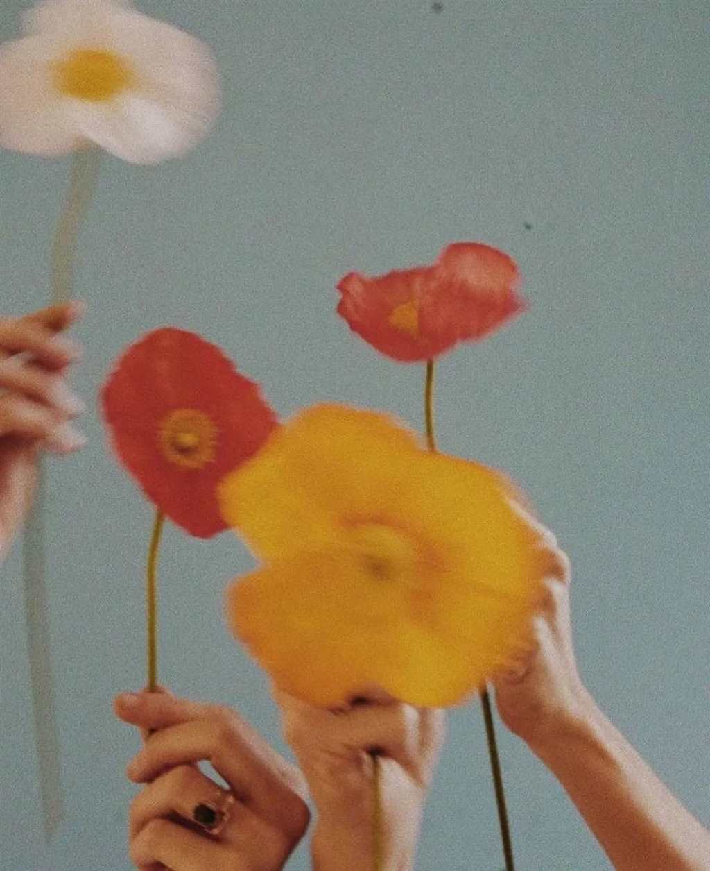 你那么温柔，向我走来 风都会甜一些。