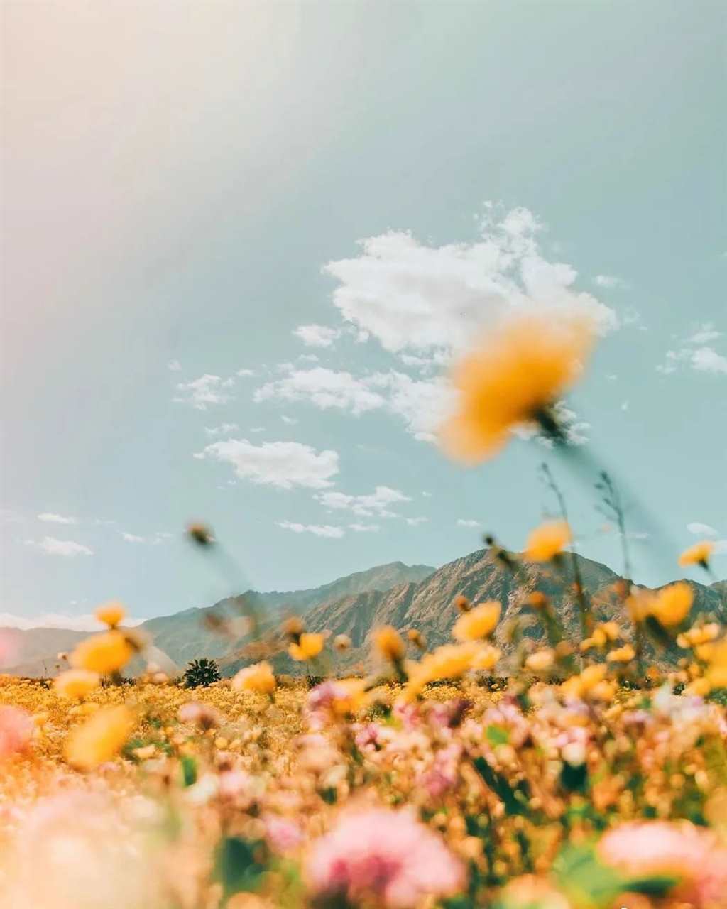 得不到的人别惦记，负能量的事要远离