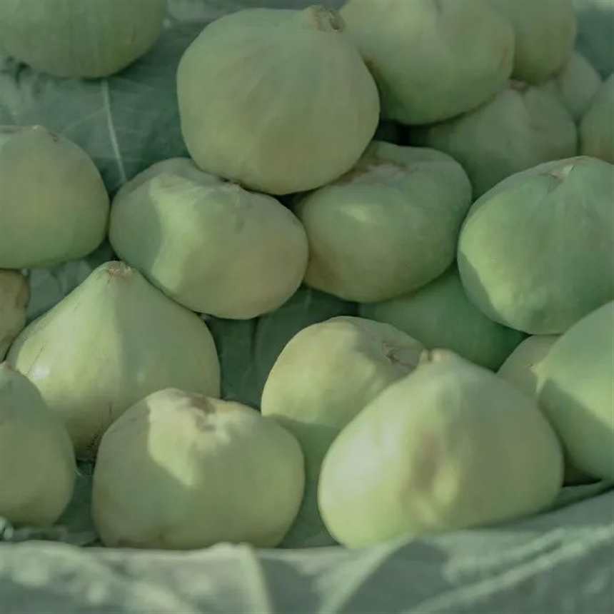 自律且努力，别让生活太安逸。