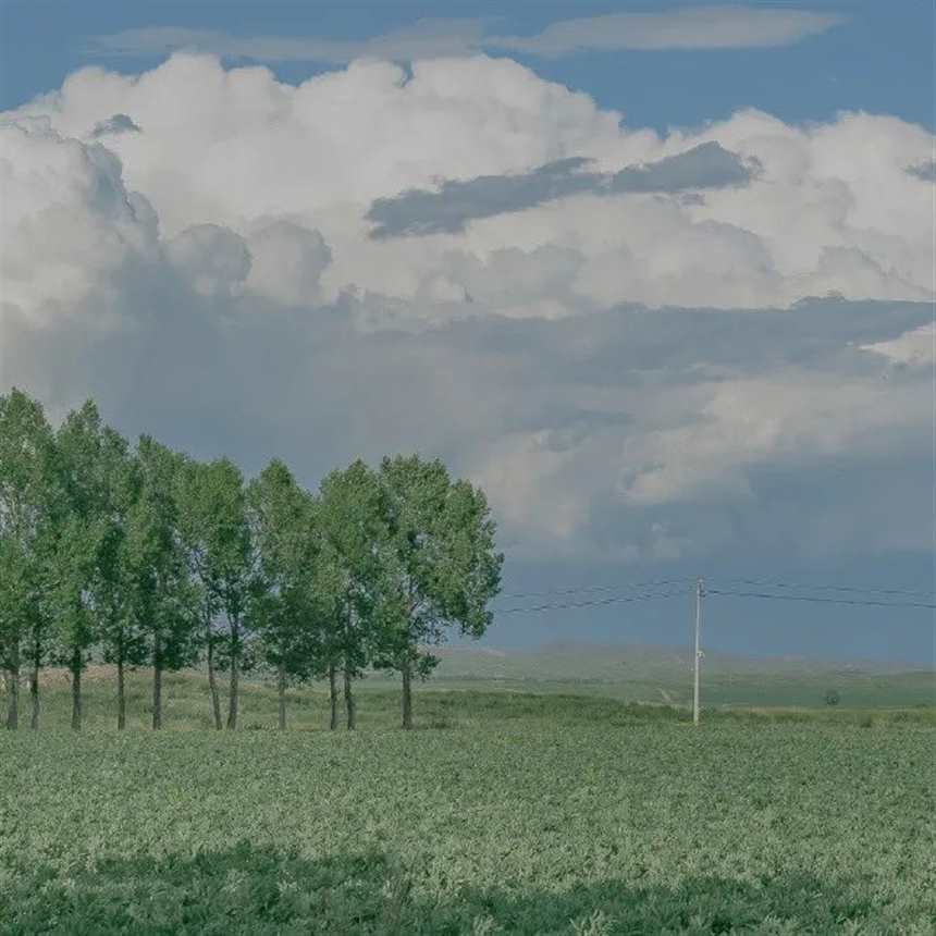 自律且努力，别让生活太安逸。