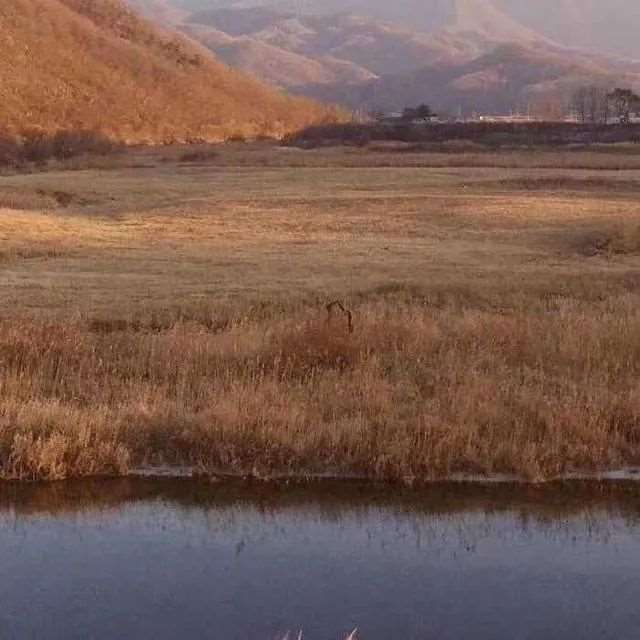 无奈又伤感的朋友圈句子,让人莫名心酸
