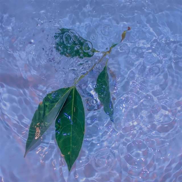 网易云经典语录