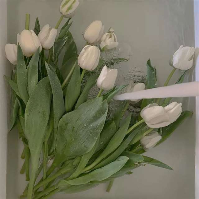 网易云经典语录