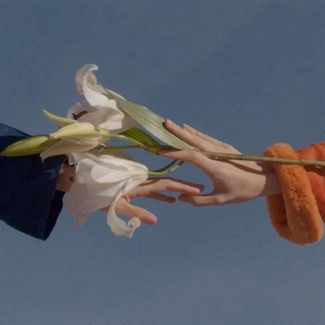 网易云经典语录