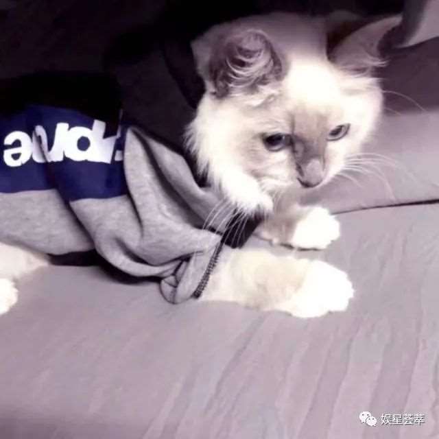 <网易云热评></p></a>超火的短句