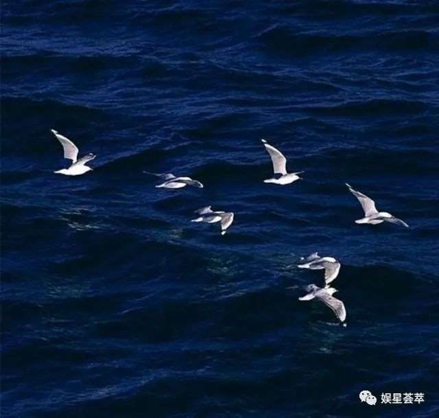 <网易云热评></p></a>超火的短句