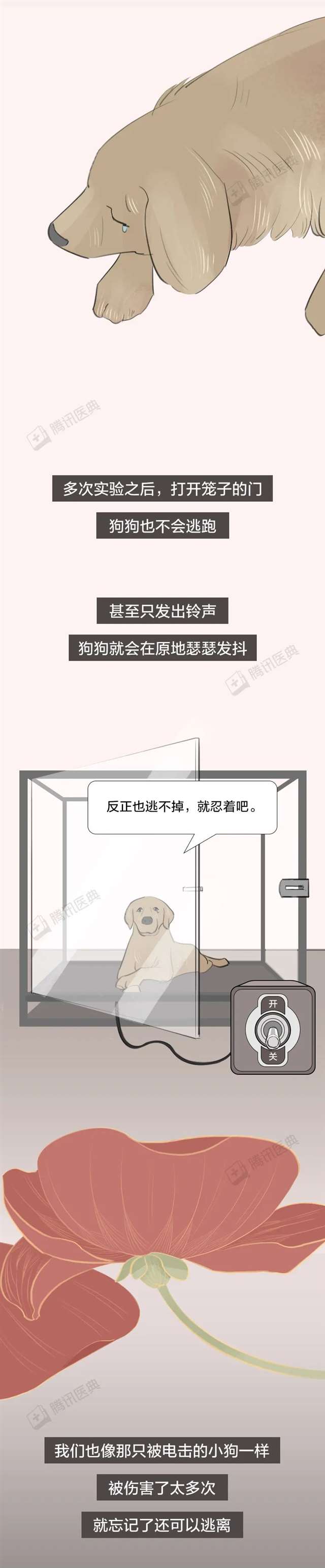 结了婚的人如何一步步变成了凑合过日子