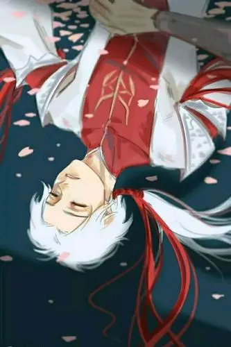 玄亮 半生缘 玄亮吧之丞相受伤