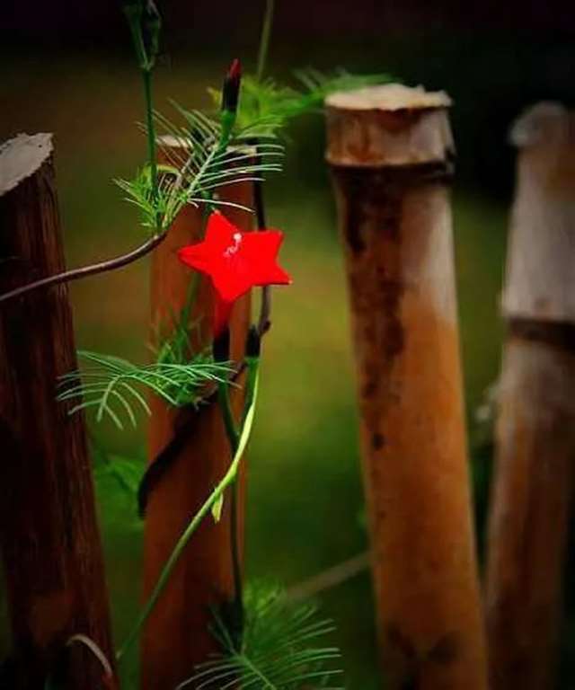 讽刺烂泥扶不上墙的人的说说