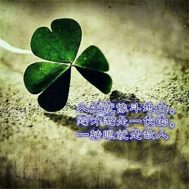 女人正能量美丽的短句