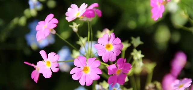 适合女人发朋友圈的完美的句子