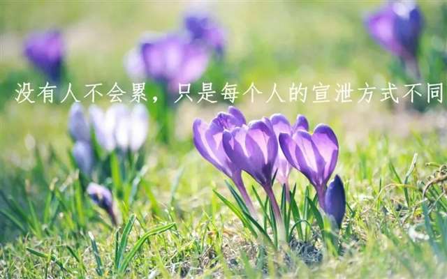 女人致自己的句子