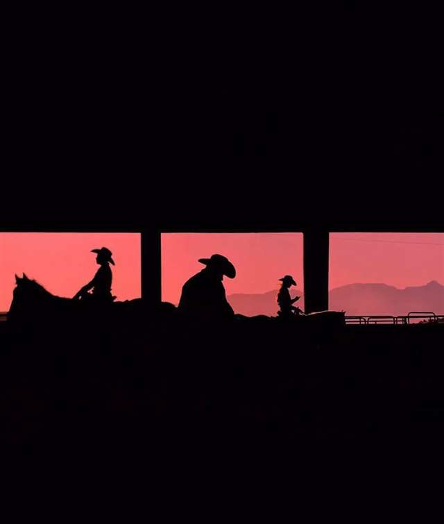 对生活充满希望的治愈励志文案