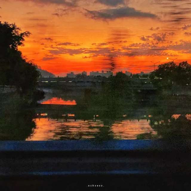 感情里的扎心文案,这就是生活