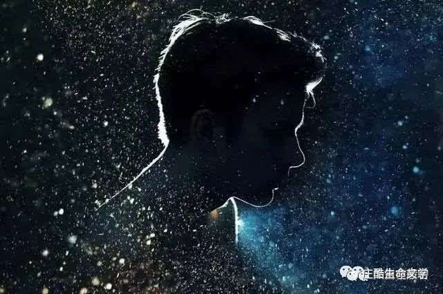 抖音文案的垂直生活