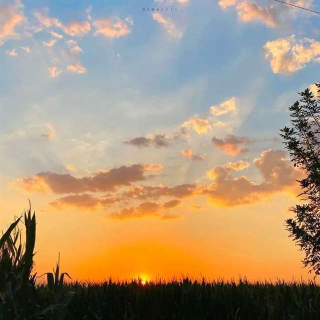 入人心的,抖音最火情感文案!