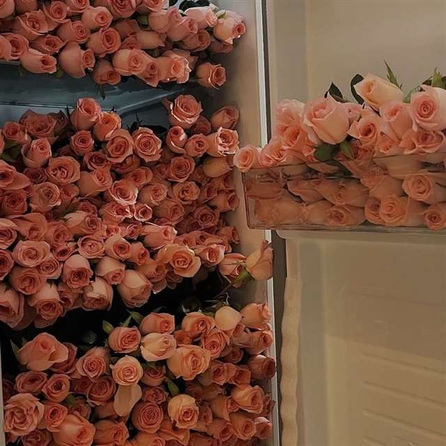 这14条抖音的文案,直戳心窝!