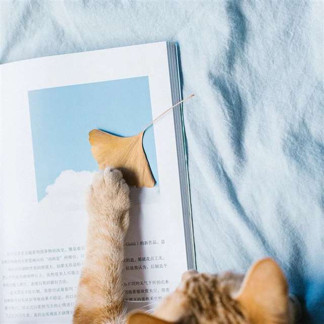 适合发抖音的情感句子!