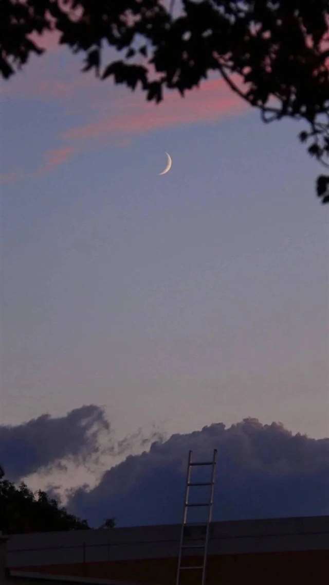 适合发抖音的情感句子!