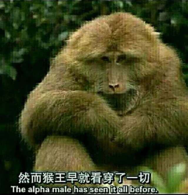 弹幕中的经典梗原来出自这些动漫